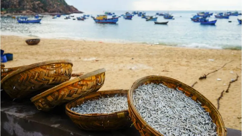 Quy Nhon Beach 