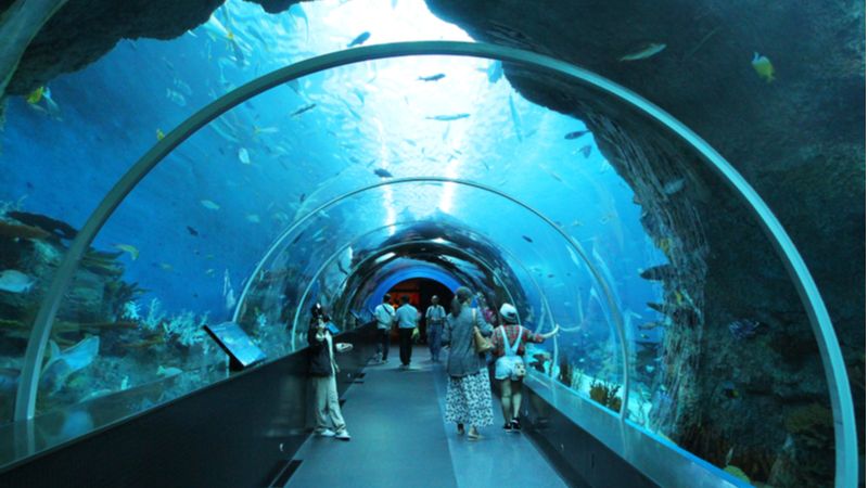 SEA Aquarium 