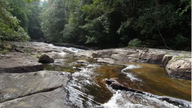 Enjoy Camping In Kitulgala Forest Reserve