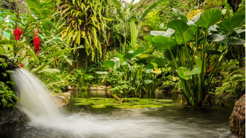 Kuala Lumpur Butterfly Park