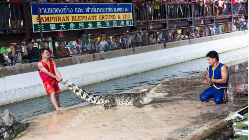 Samphran Elephant Ground & Zoo