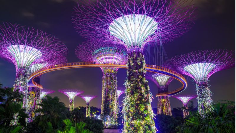 Spend Some Peaceful Time At The Gardens By The Bay