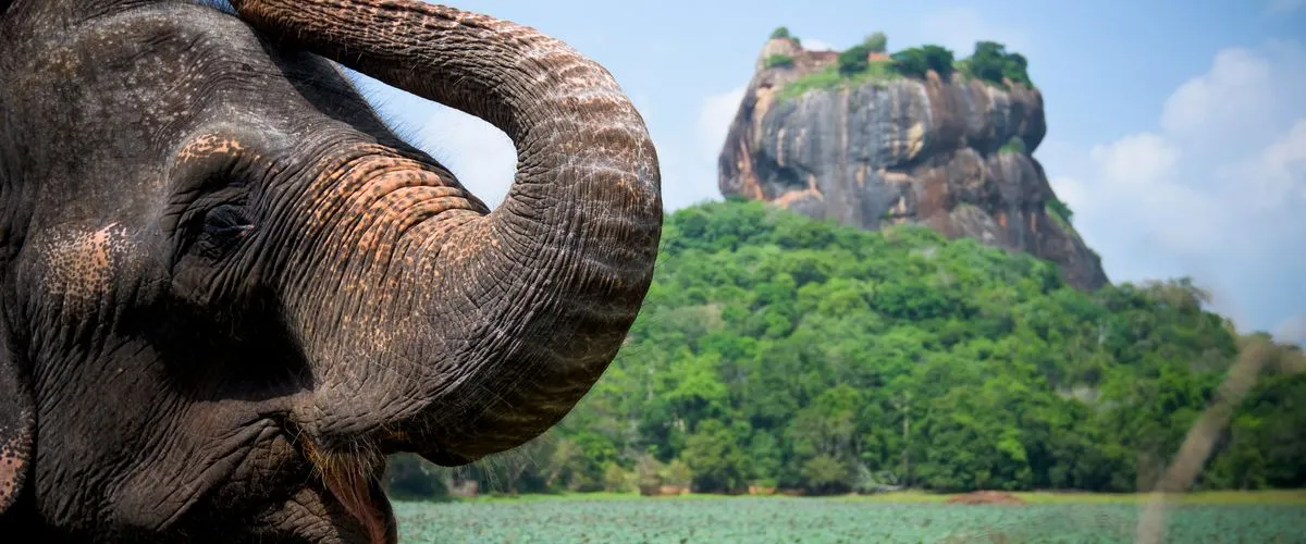 Things To Do In Sri Lanka For A Fascinating Vacation