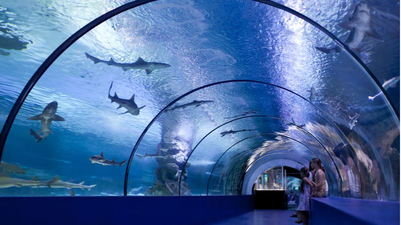 Seek The Marine Life At Antalya Aquarium