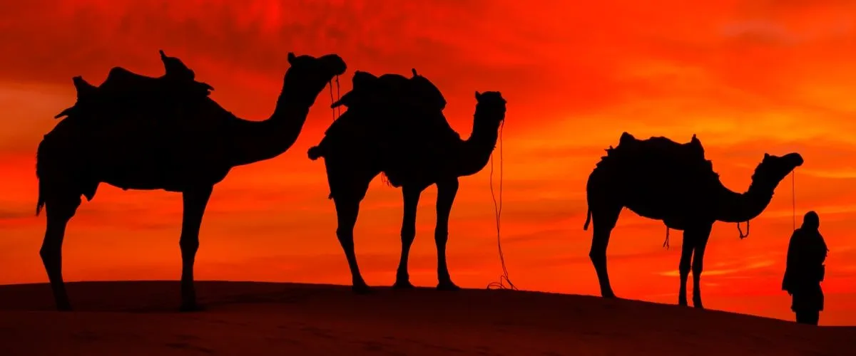 Desert Safari In Kuwait: A Perfect Way To Make The Most Of Your Vacation