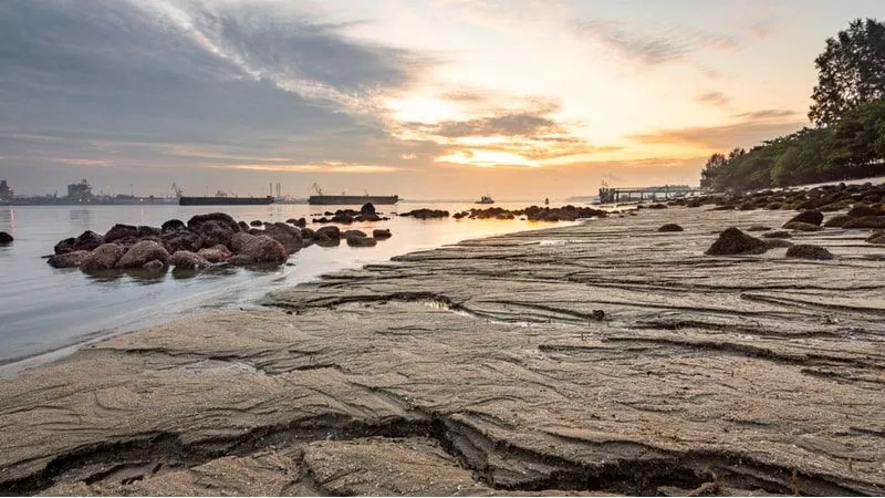 Punggol Beach