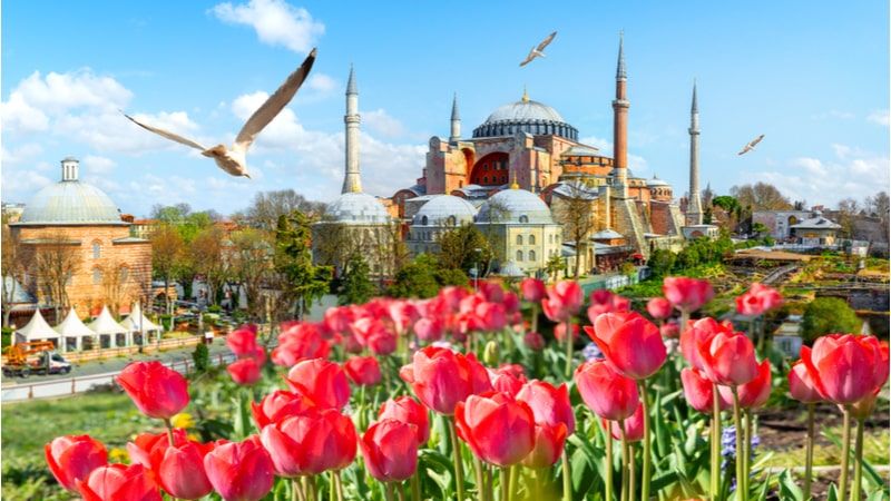 Tulip Festival Istanbul