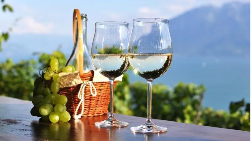 Wine Tasting In Lake Geneva