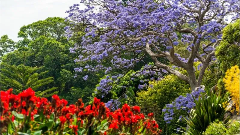 Enjoy The Peace At The Royal Botanical Garden