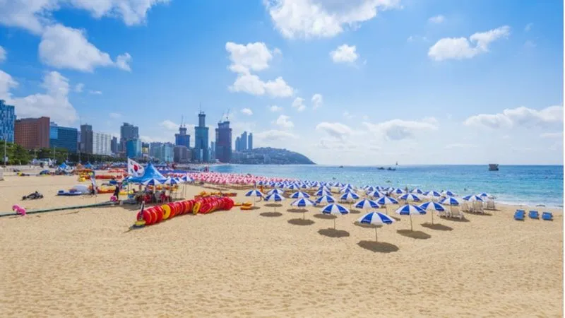 Must Visit Beaches In South Korea 