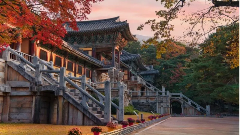 Undulating Cultural Attraction of South Korea 