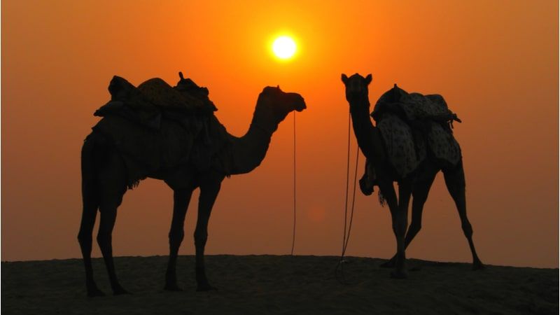Watch The Sunset Over The Dunes With A Night Desert Safari