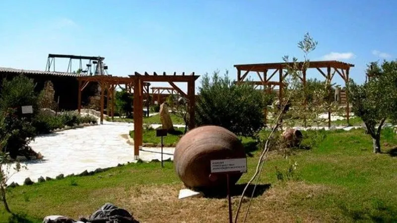 Oleastro Olive park & Museum