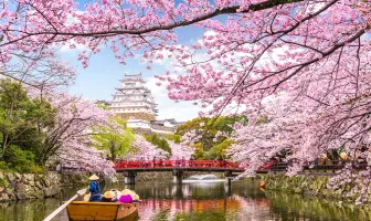 Splendid Japan New Year Tour Package for 7 Days 6 Nights