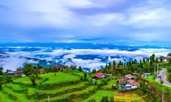 5 Nights 6 Days Tumsong Tea Retreat Darjeeling Tour Package