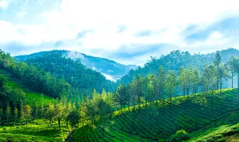 Romantic Kerala couple tour package for 5 days 4 nights