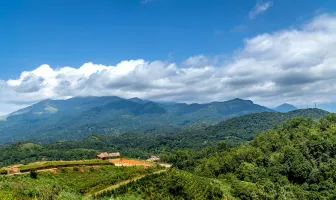 Coorg Wayanad and Ooty 7 Days 6 Nights Group Tour Package