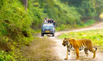 Thrilling Jim Corbett 4 Nights 5 Days Tour Package for Family