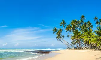 Sri Lanka 10 Days Beach Tour Package