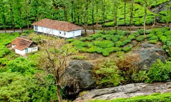 Scenic Coorg and Wayanad 4 Nights 5 Days Tour Package