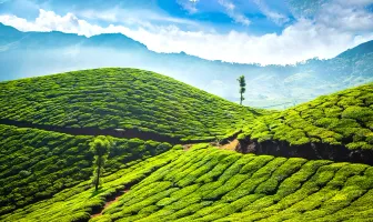 4 Days 3 Nights Magical Munnar Tour Package for Family