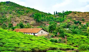 Awesome Mysore and Wayanad 3 Nights 4 Days Tour Package