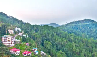 3 Nights 4 Days Shimla Chail Tour Package