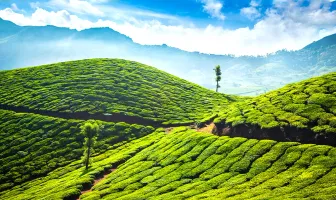 Munnar and Alleppey 3 Nights 4 Days Adventure Tour Package