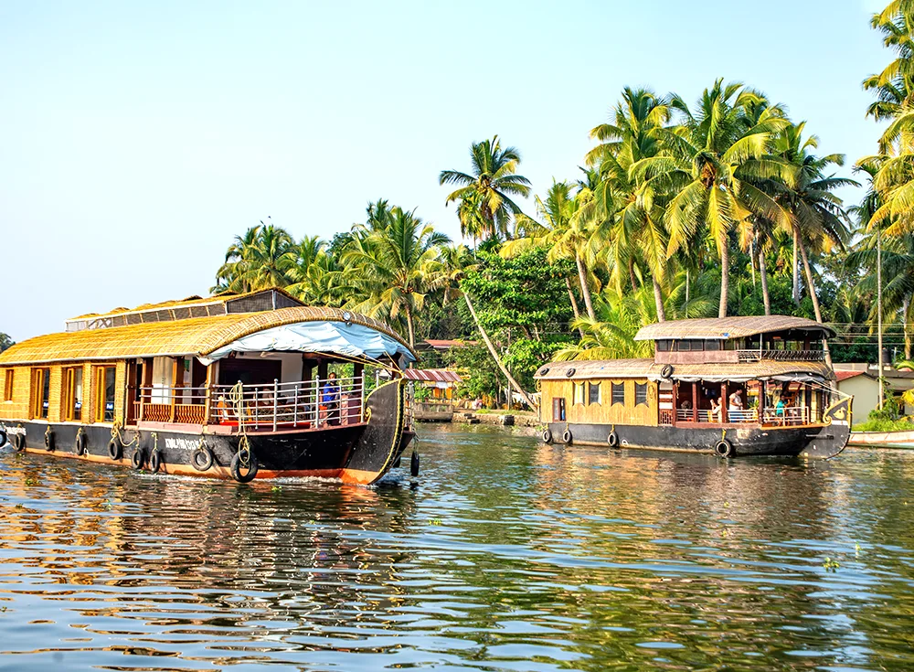 5 Nights 6 Days Kerala Hill Station Tour Package - Myholidays.com