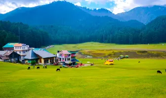 9 Nights 10 Days Himachal Tour Package