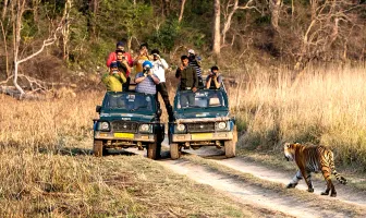 4 Nights 5 Days Jim Corbett and Mussoorie Budget Tour Package