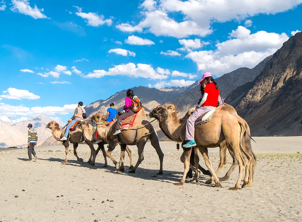 5 Nights 6 Days Leh Ladakh Tour Package with Nubra Valley - Myholidays.com