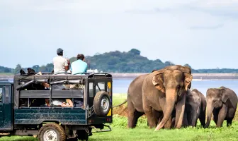 4 Nights 5 Days Sri Lanka Wildlife Tour Package