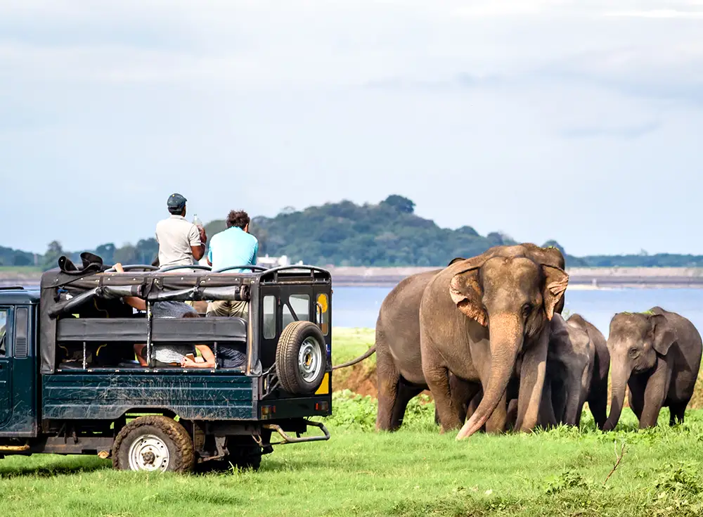 4 Nights 5 Days Sri Lanka Wildlife Tour Package 