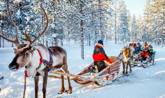 Finland 7 Nights 8 Days Winter Adventure Tour Package for Family