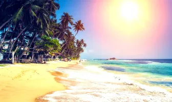Casablanca Beach Resort Goa 4 Nights 5 Days Honeymoon Package