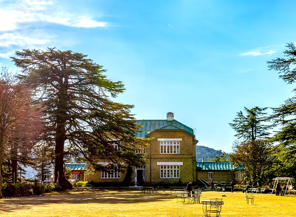 shimla tour package for 5 days