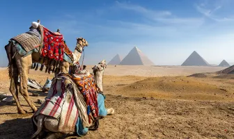 Cairo and Nile Cruise 7 Days 6 Nights Budget Tour Package