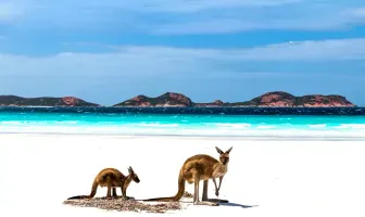 2 Nights 3 Days Kangaroo Island Tour Package