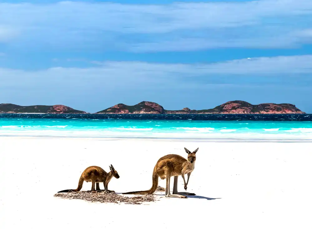 kangaroo island tour 3 days
