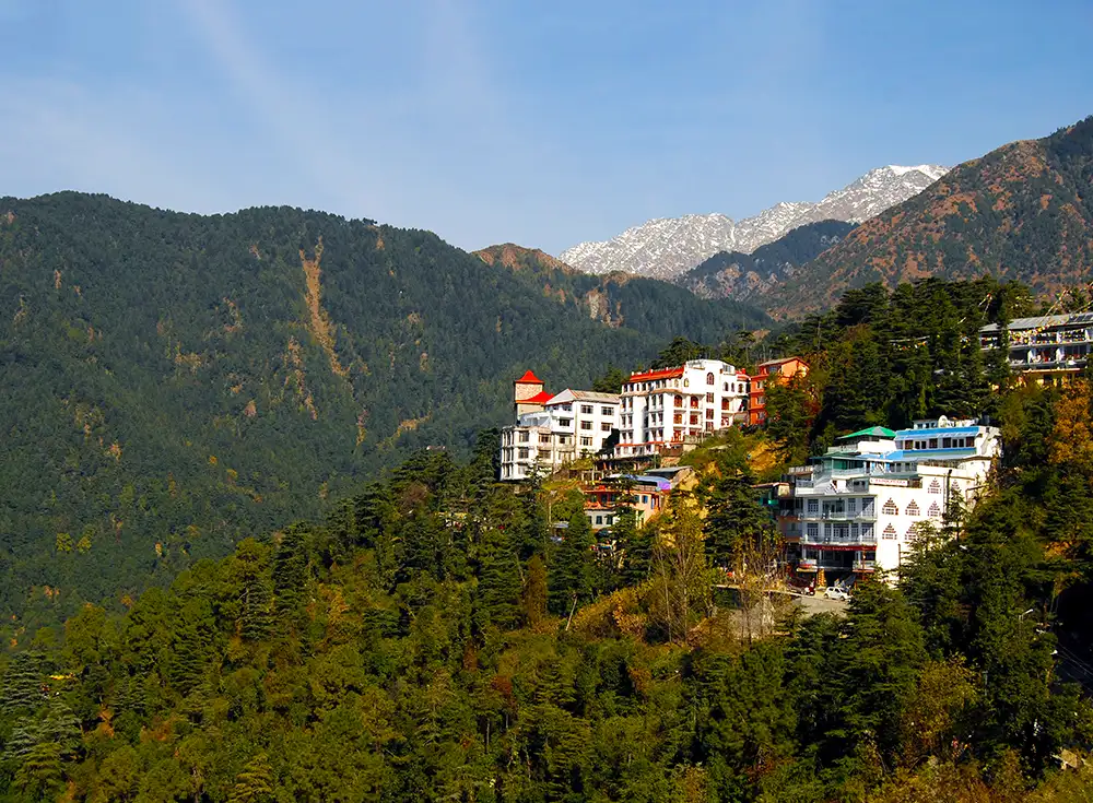 5 Nights 6 Days Dharamshala Family Tour Package - Myholidays.com