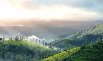 Munnar Thekkady Alleppey 4 Nights 5 Days Couple Tour Package