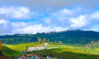7 Days 6 Nights Coorg Mysore Ooty Customized Holidays Package