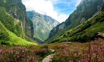 6 Nights 7 Days Valley of Flowers Tour Package with Govindghat and Joshimath