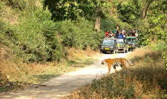 Enchanting Nainital and Corbett New Year Tour Package for 5 Days 4 Nights