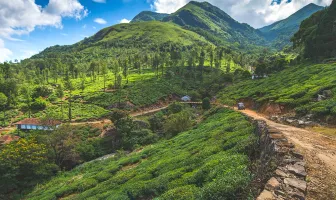 Best of Wayanad 8 Days 7 Nights Family Tour Package with Coorg