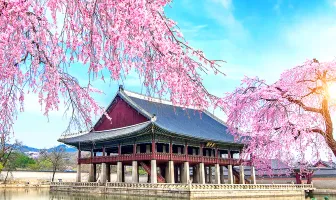 Seoul Tour Package for 6 Days 5 Nights
