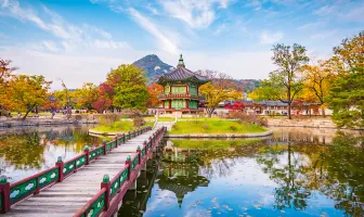 Best Selling Busan and Seoul Tour Package for 8 Days 7 Nights