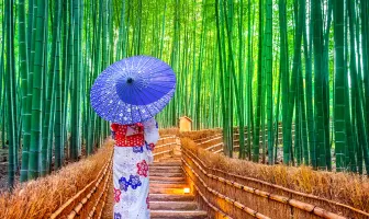 Amazing Japan Couple Tour Package for 8 days 7 Nights