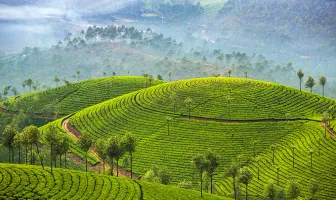 Scenic Coorg and Wayanad Winter Tour Package For 5 Days 4 Nights
